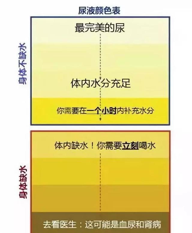 多喝水和少喝水的人，后來會(huì)怎樣？一張表格告訴你