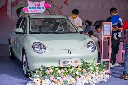 第二十八屆遠(yuǎn)通國慶車19.jpg